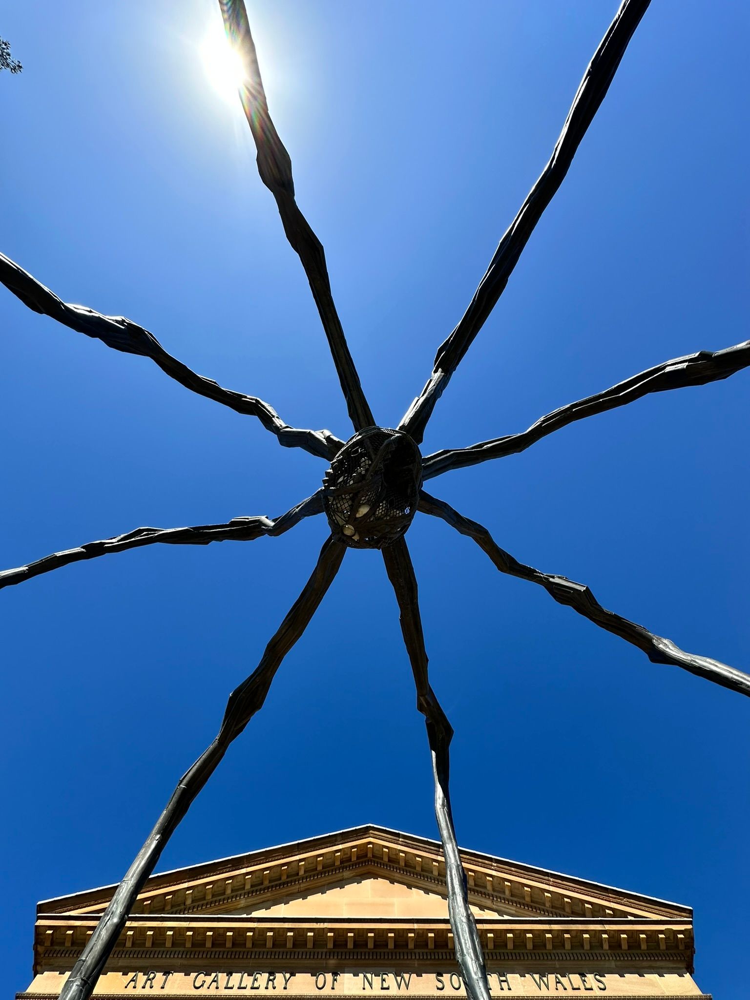 A photo of Louise Bourgeois's giant spider sculture 'Maman' in front of the AGNSW.